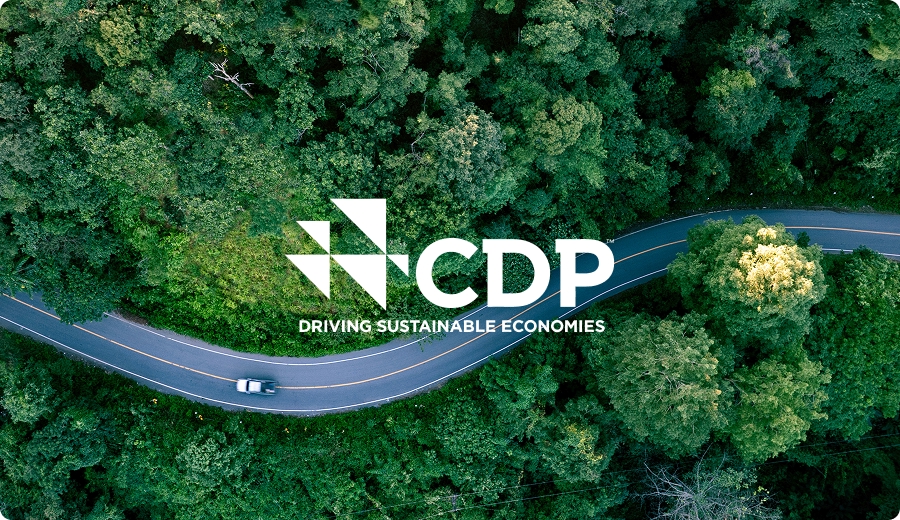 CDP(탄소공개프로젝트)