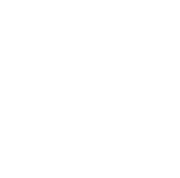 대기